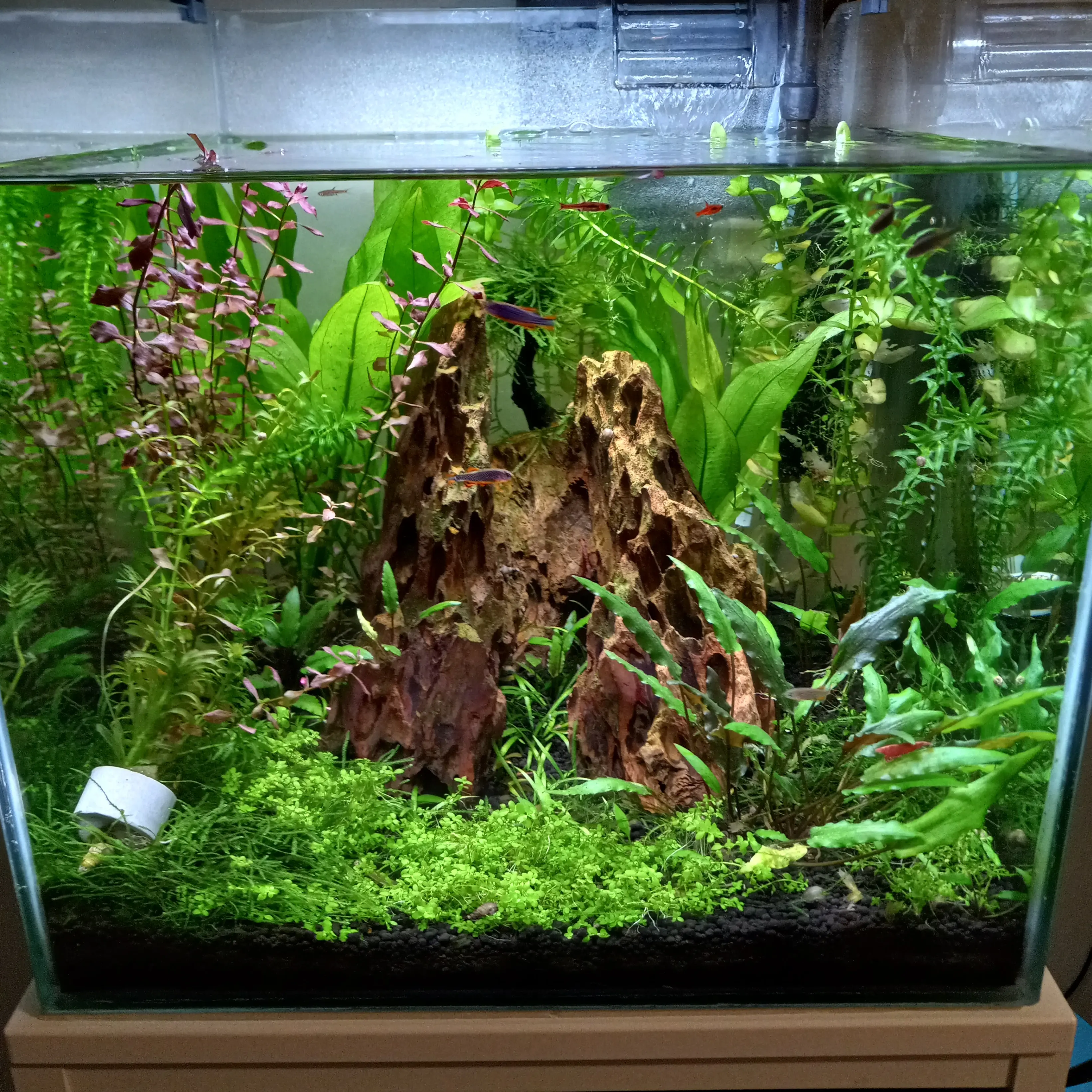 Aquarium 1.0 image 2